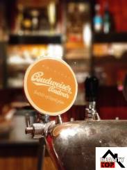 Na prenájom - pohostinstvo - pab - kaviareň